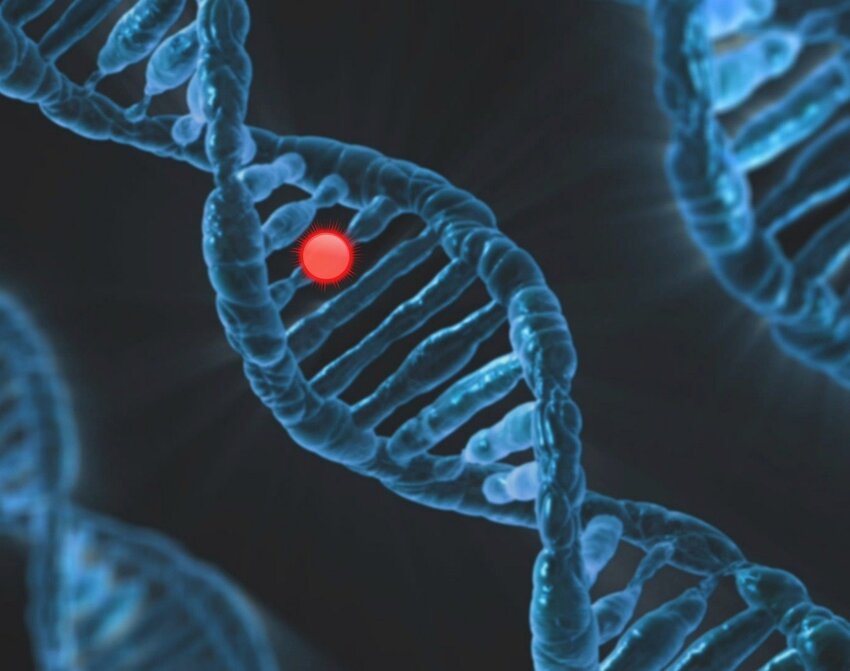 Computer generated image of a DNA double helix molecule with a mutation pinpoint by a red circle 
