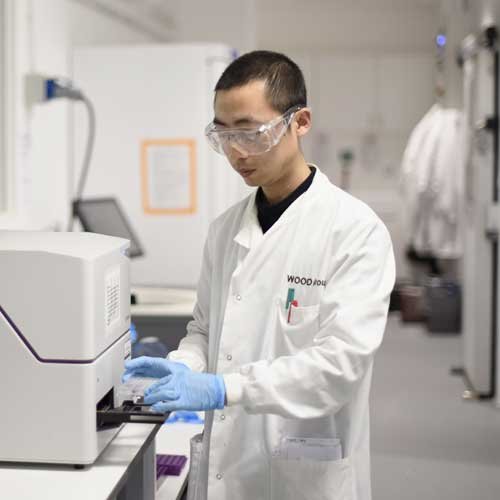 Funding A scientist using a laboratory imagery screening machine