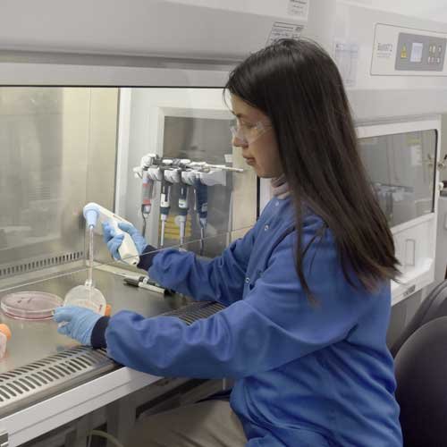 Science Scientist pipetting in a laboratory fume cupboard